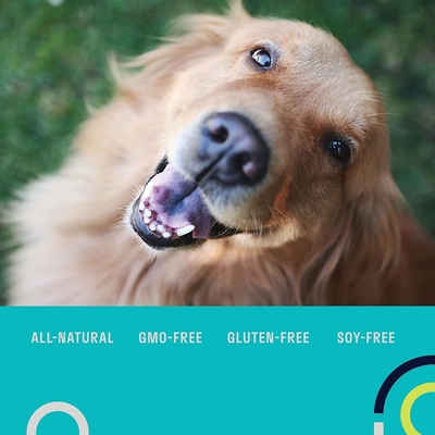 Multivitaminsは栄養の補足の穀物犬のための自由なOEMの毎日のProbiotic補足をかわいがる
